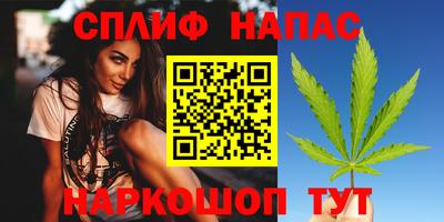 прущие грибы Дубна