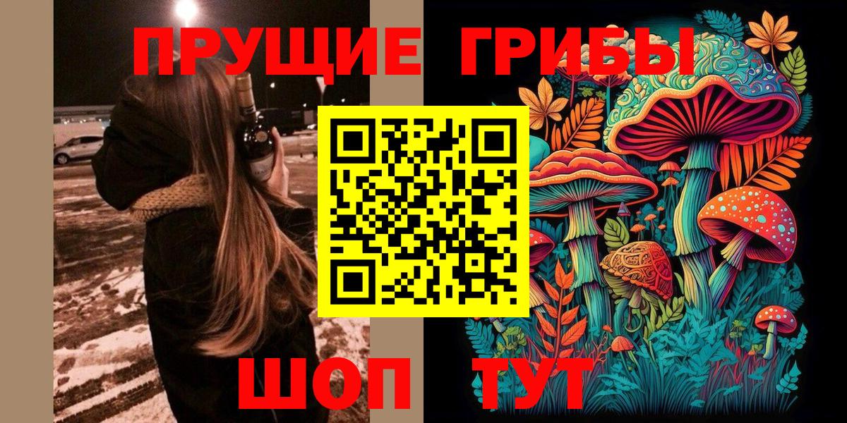Псилоцибиновые грибы ЛСД  Вход с VPN  Кемерово  Галлюциногенные грибы Psilocybe 