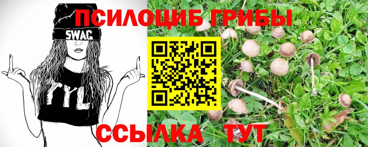 Псилоцибиновые грибы прущие грибы Кемерово